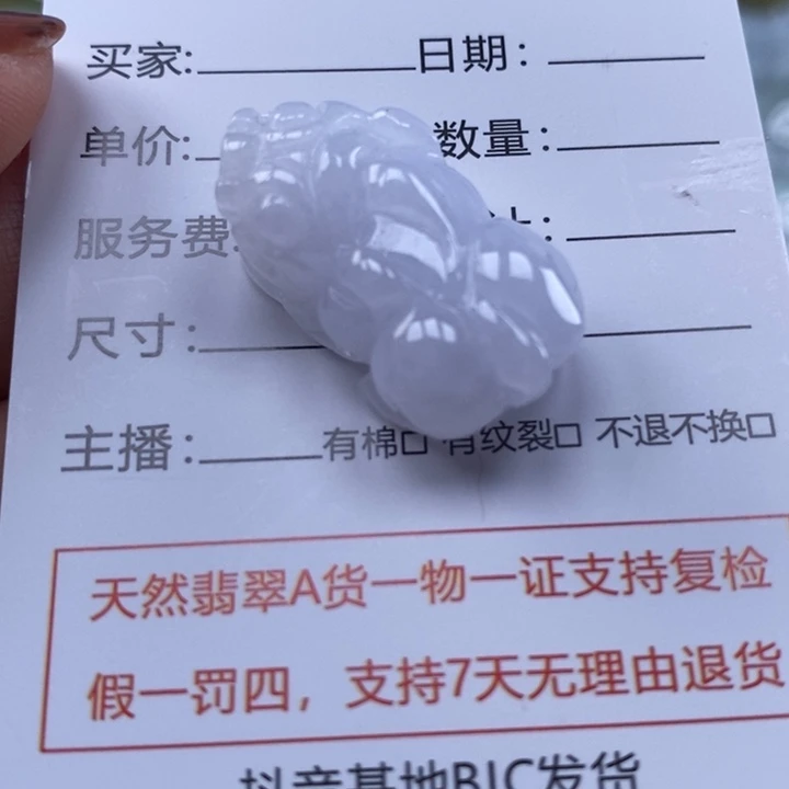 颈饰未镶嵌翡翠貔貅