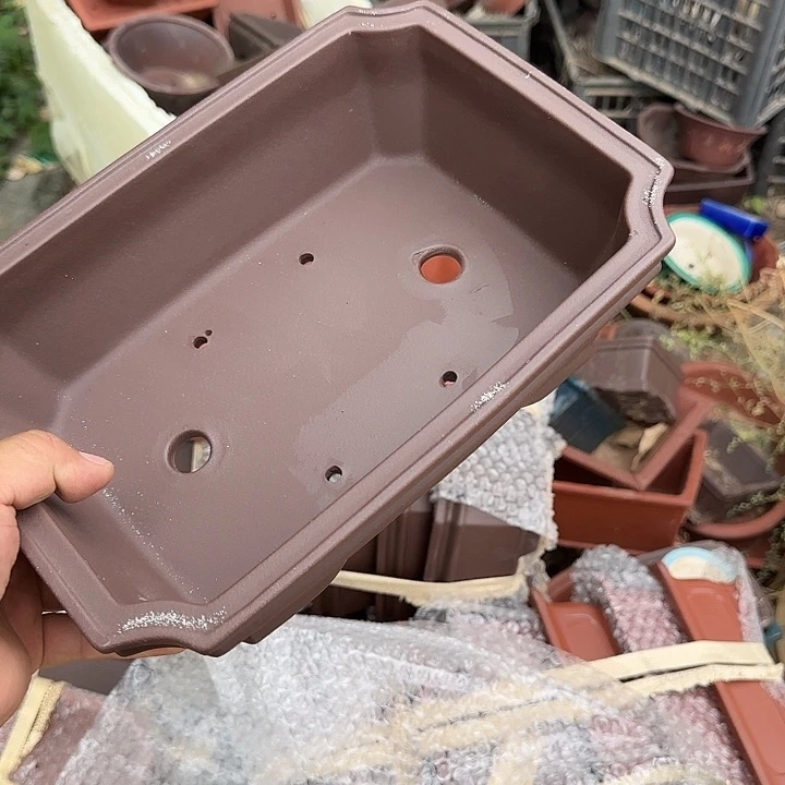 不用来咯哦啦啊哦啊啦