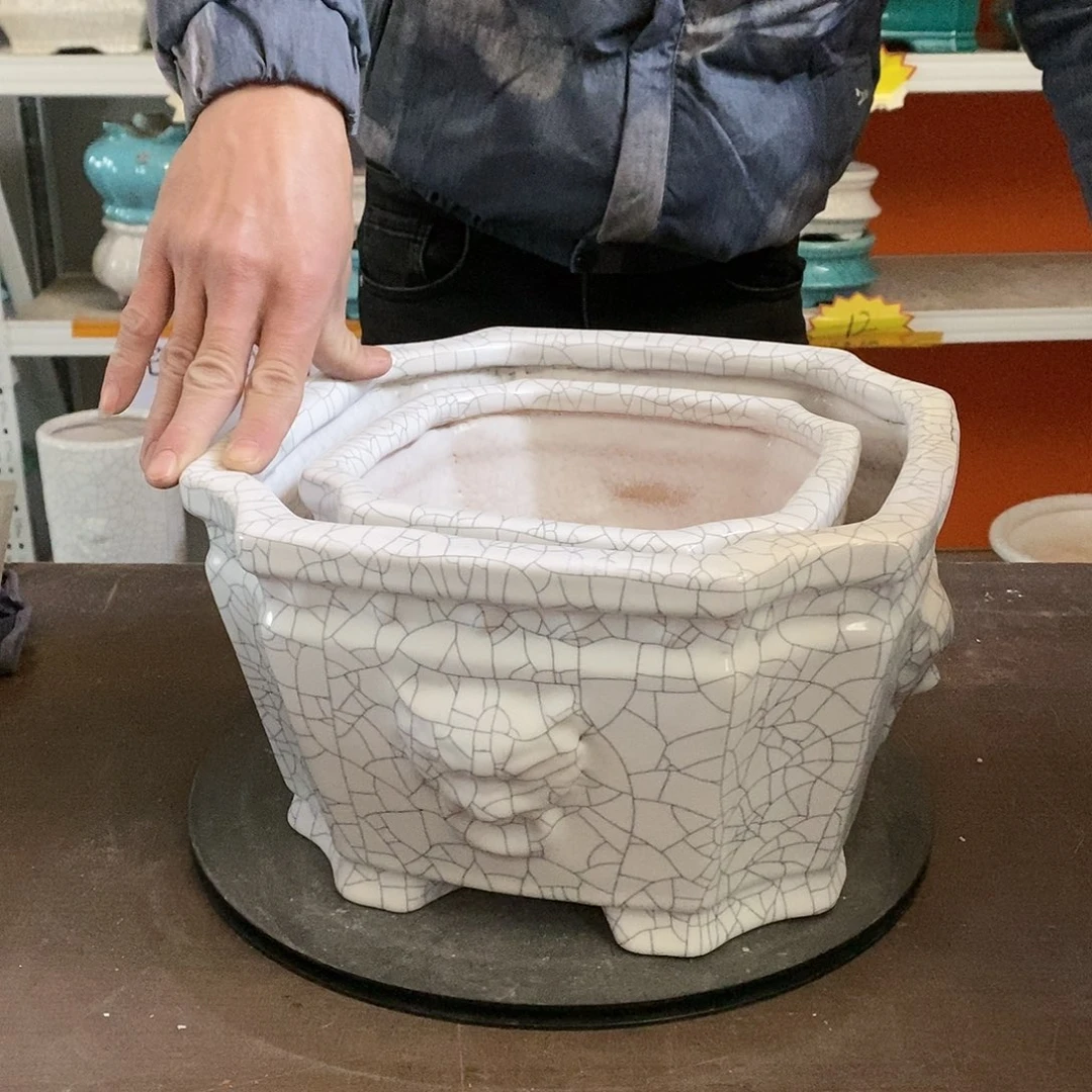 花盆花盆里放满鲜花