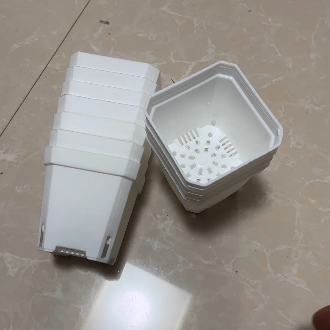 中厚口7高7白盆50个无托