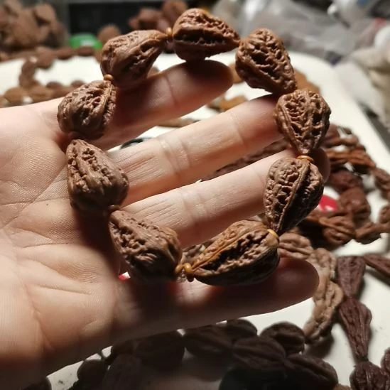 文玩核桃吊坠东北楸异形籽小核桃20