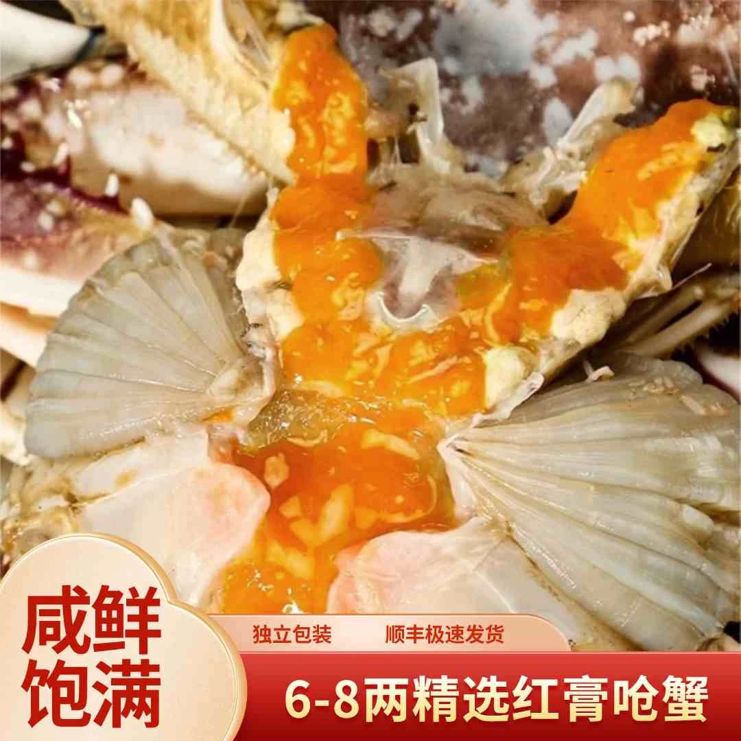 【精选6-8两舟山正宗红膏呛蟹】舟山正宗红膏呛蟹红膏母蟹