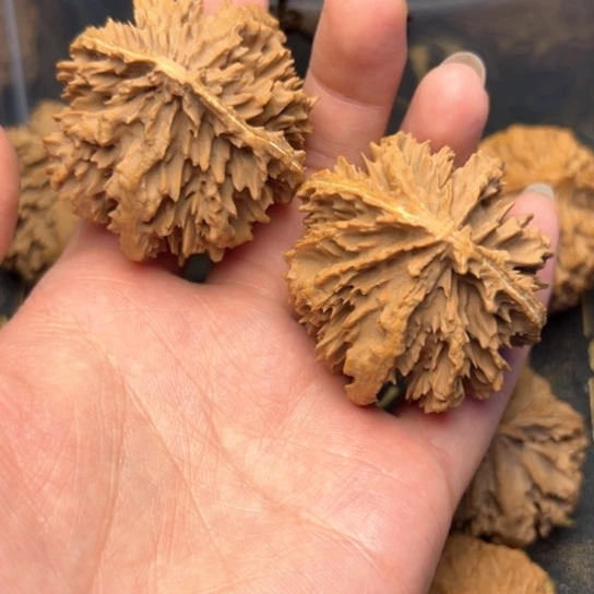 一***7文玩核桃把件秦岭核桃15