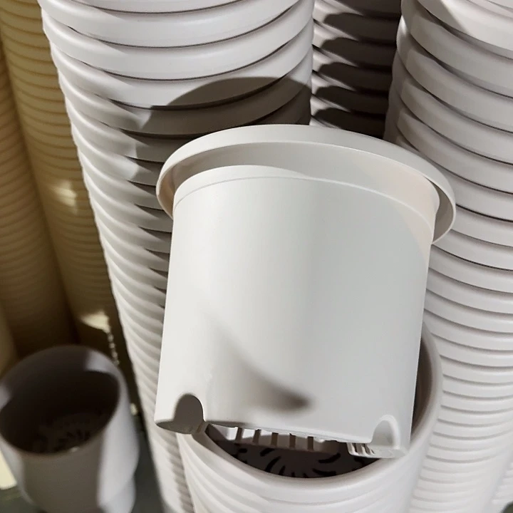 四季3号灰白无托10个特价微瑕