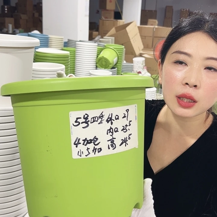 特价5号四季口29高24.5白色5只无托