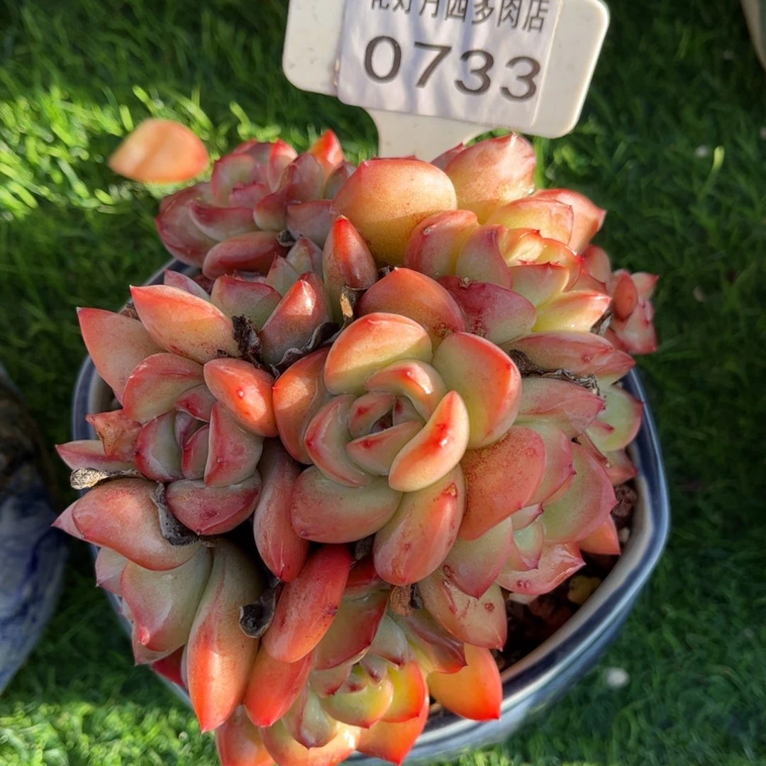 小****0733 满30包邮，天冷地区必拍保温箱