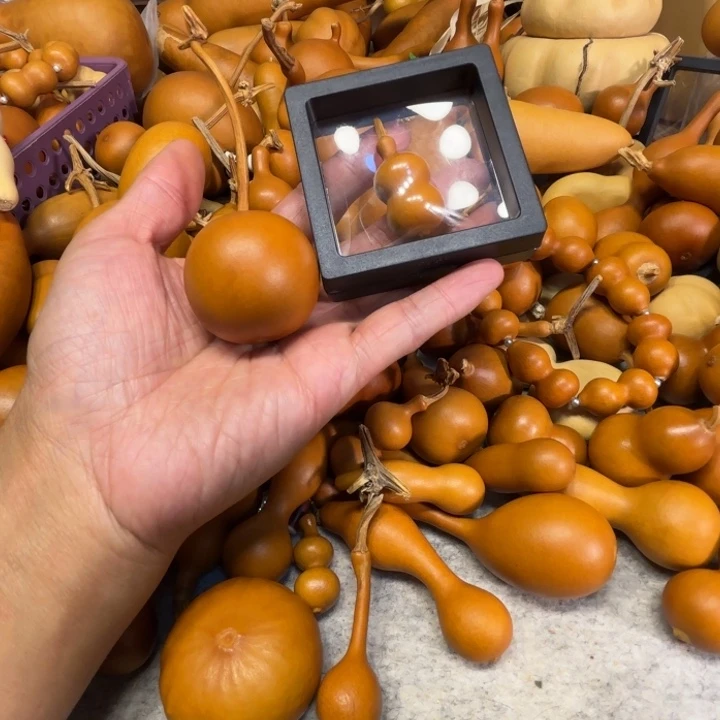 小***妖想要的两把小要两把葫芦小腰的