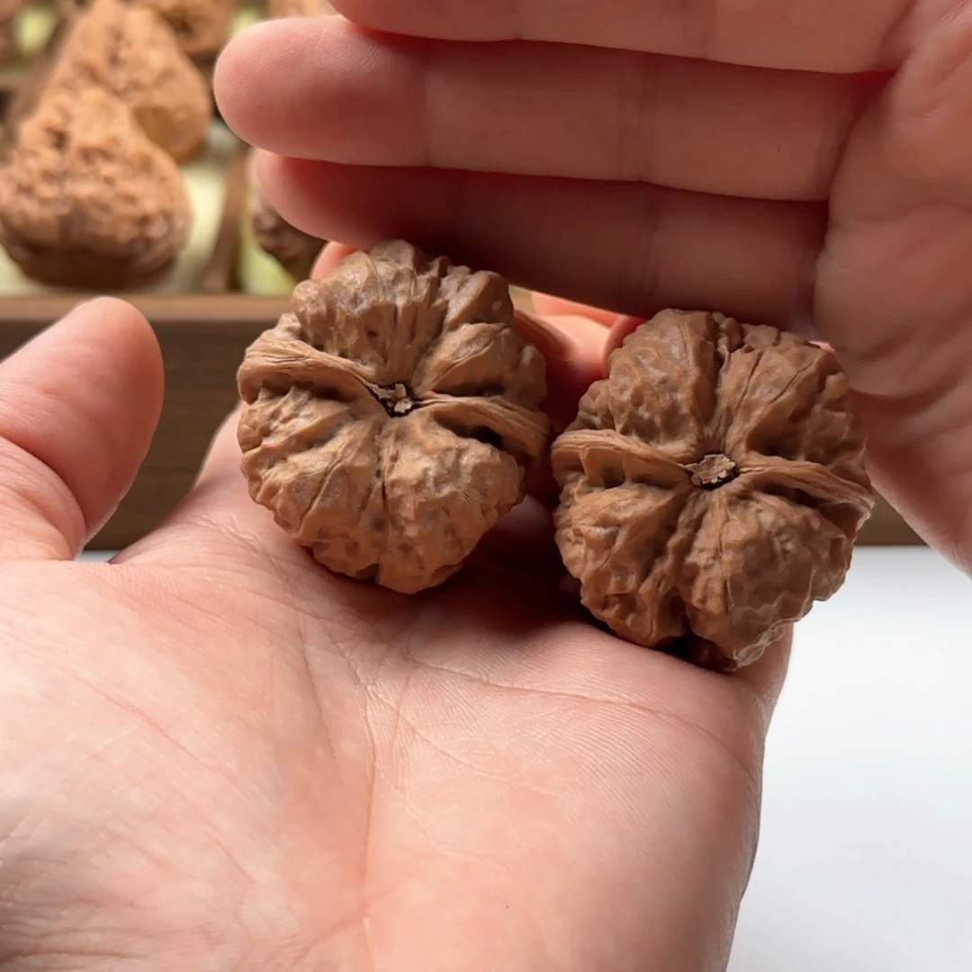 核桃手串/手链延庆蛤蟆头