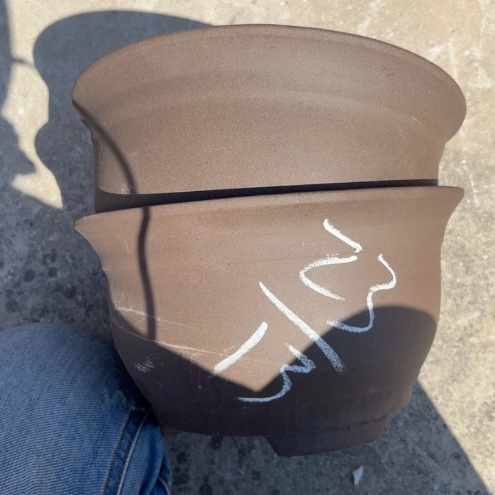 花盆紫砂紫砂的花