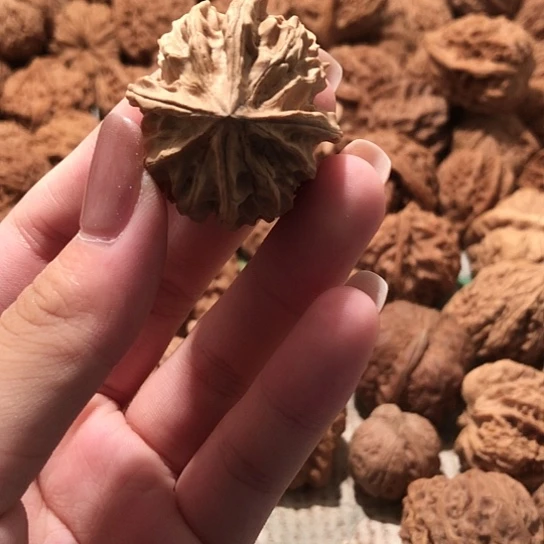 挪***林桃核吊坠核桃核桃核桃