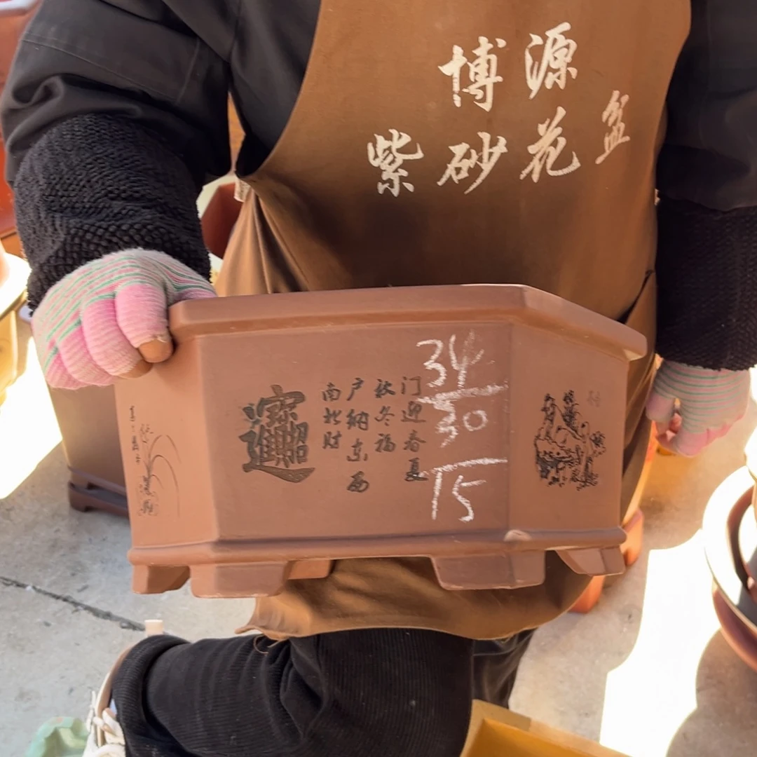 花盆紫砂盆景艺术