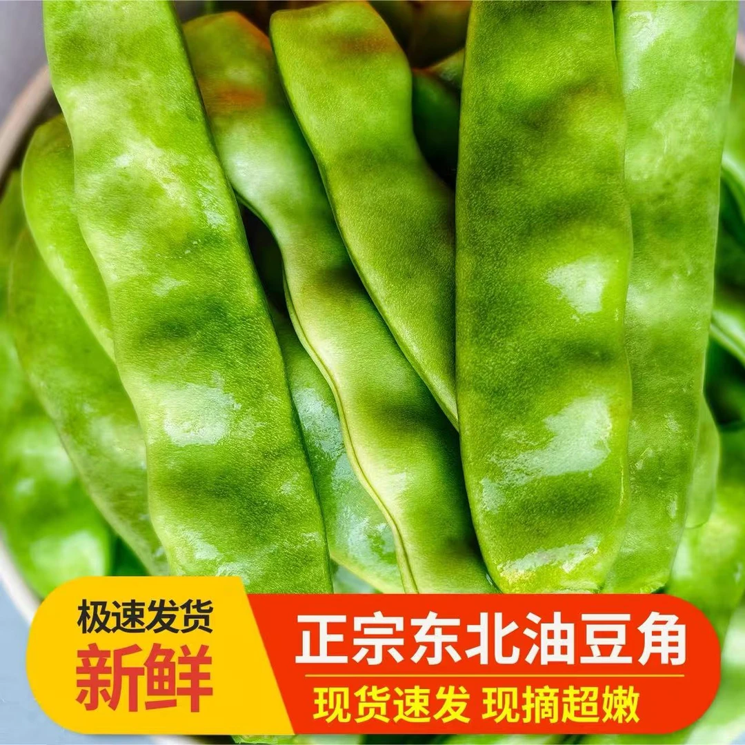 东北大油豆 油豆角 牛粪鸡粪种植 农家大地自产 现摘现发