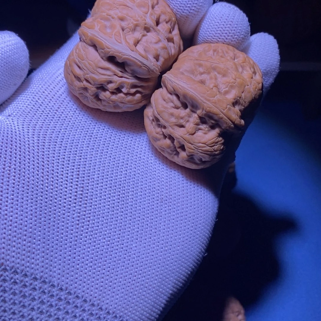 消***色菩提籽类核桃核桃