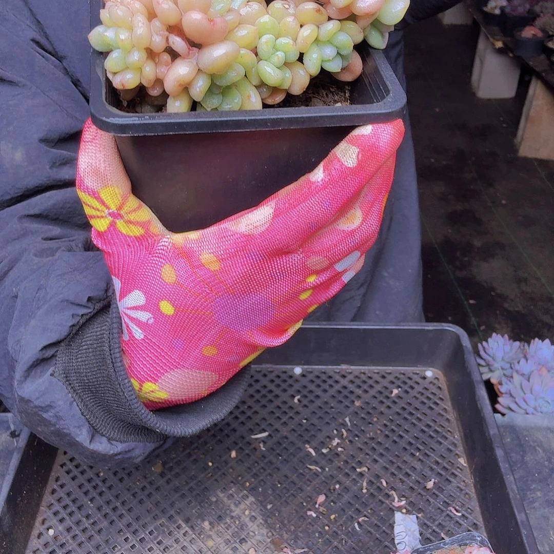 惜***005比尔盖茨一物一拍一物一拍