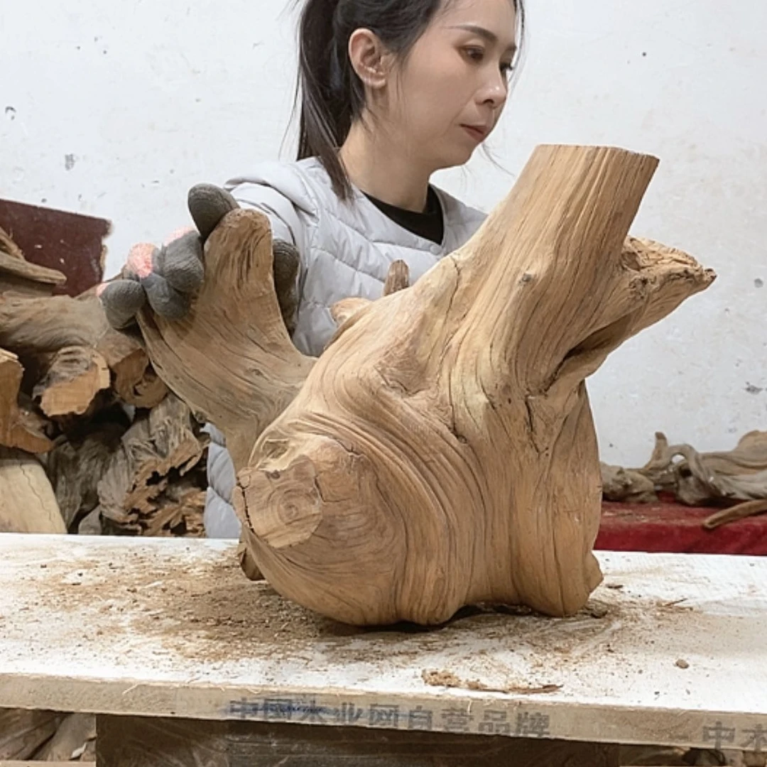 【闪购商品】柏木东*我们都是好孩子