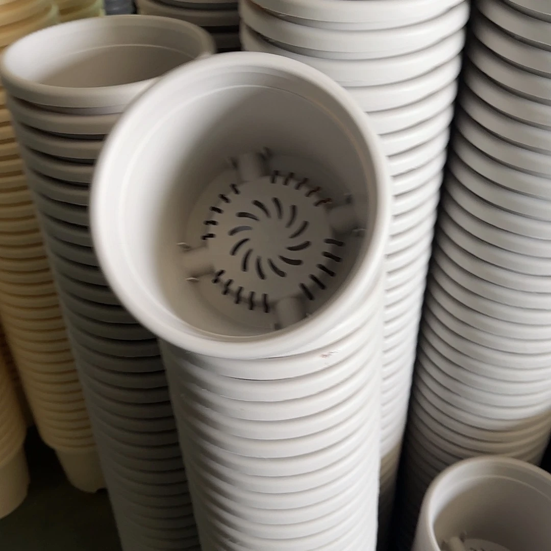 树脂四季3号无托10个灰白微瑕