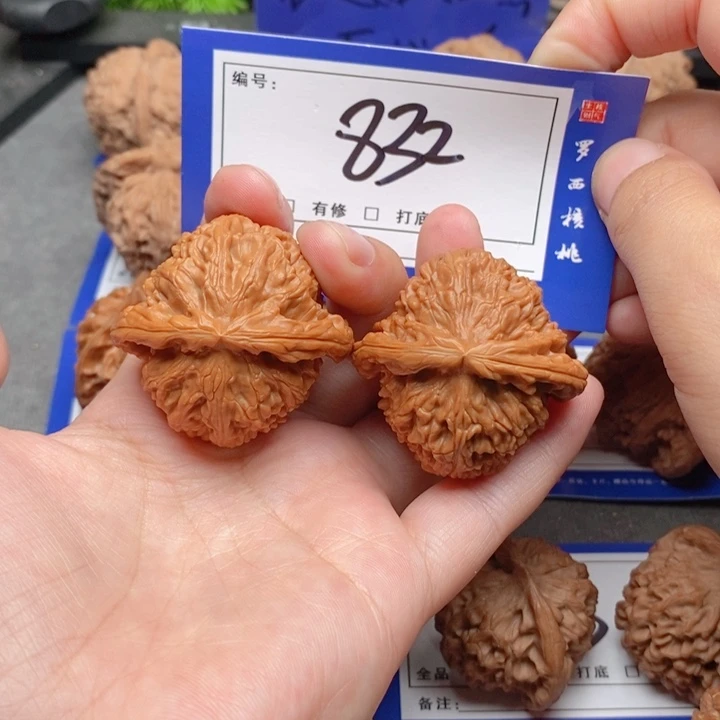 把件桃核40白狮子832号牌