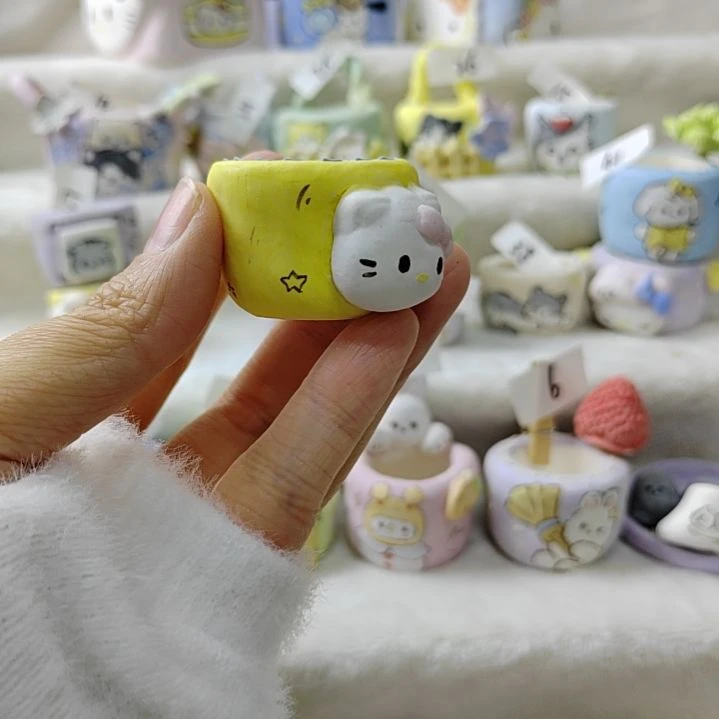 kt小花盆瑕疵品多肉