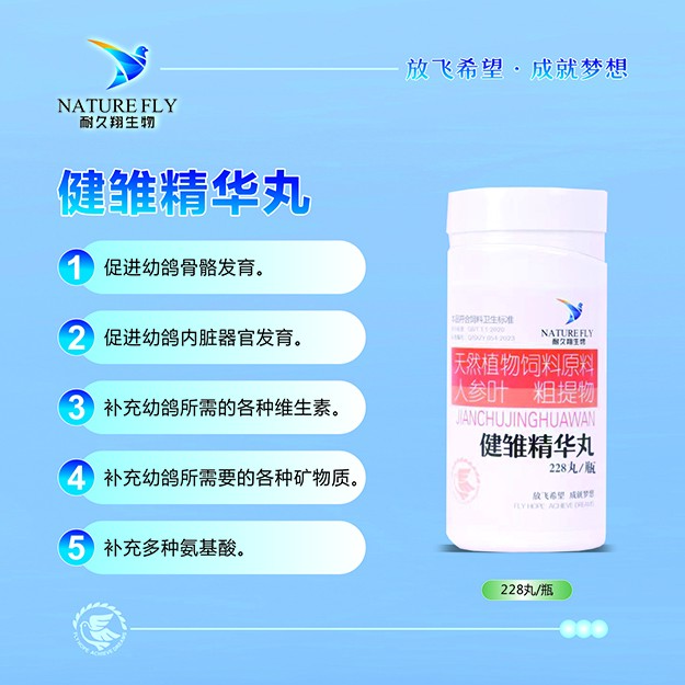 【健雏精华丸】促进幼鸽骨骼及器官发育 补维生素 鸽子用品