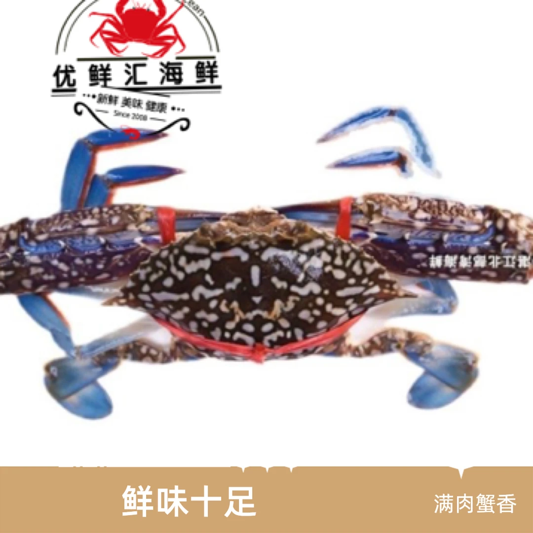 大兰花蟹 鲜活公蟹 吃肉蟹