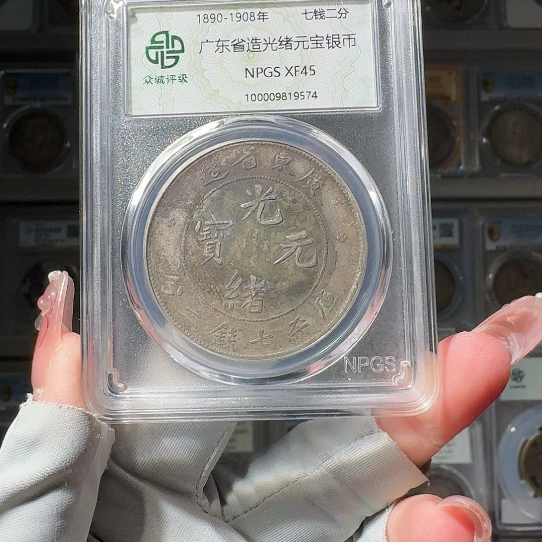 扬***产银45 广东龙 小师妹PP516