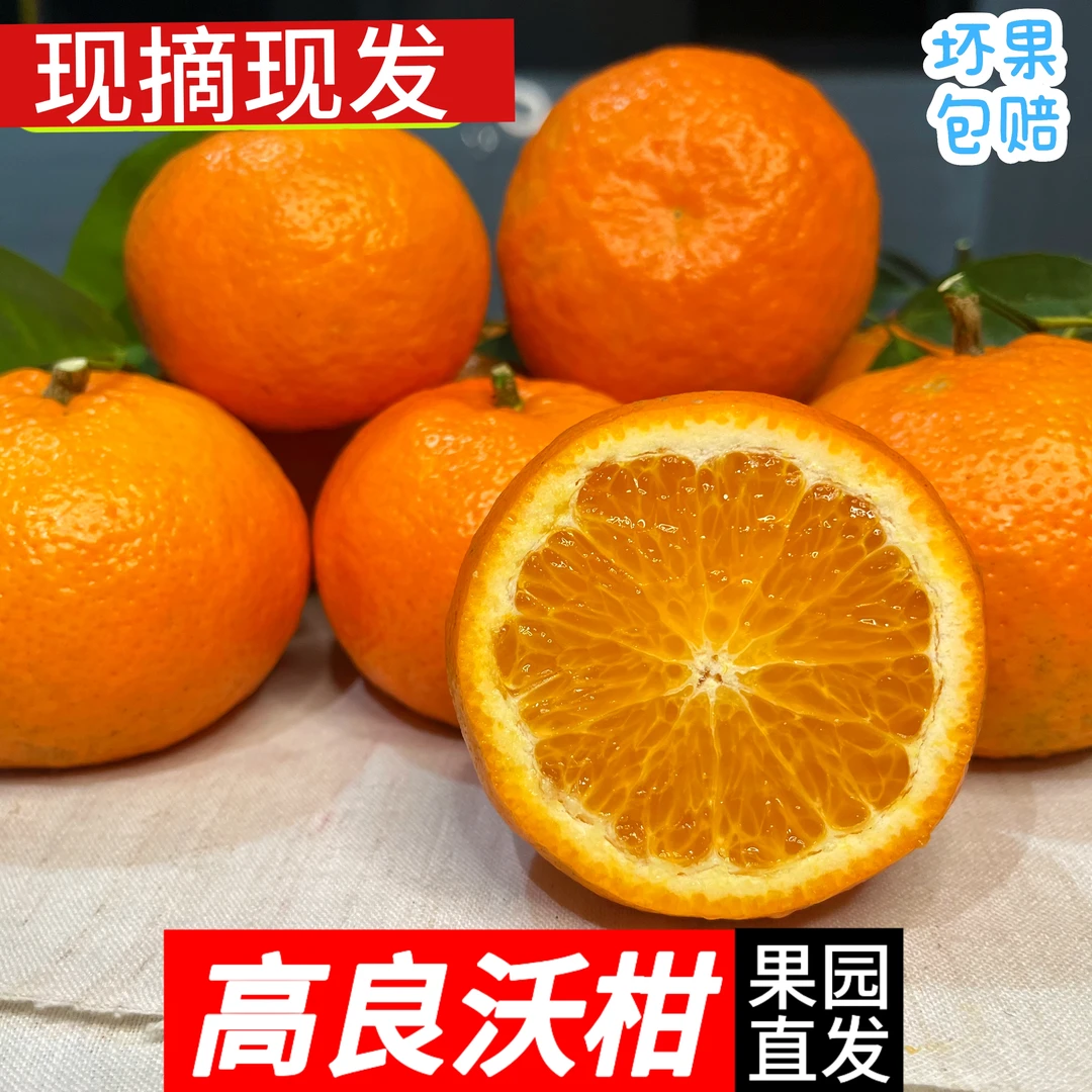 正宗高良沃柑精品果当季新鲜水果爆甜