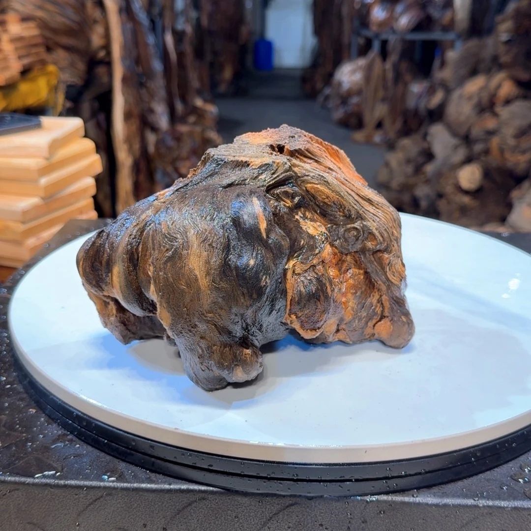 木鱼*飞王一刀琥珀木41