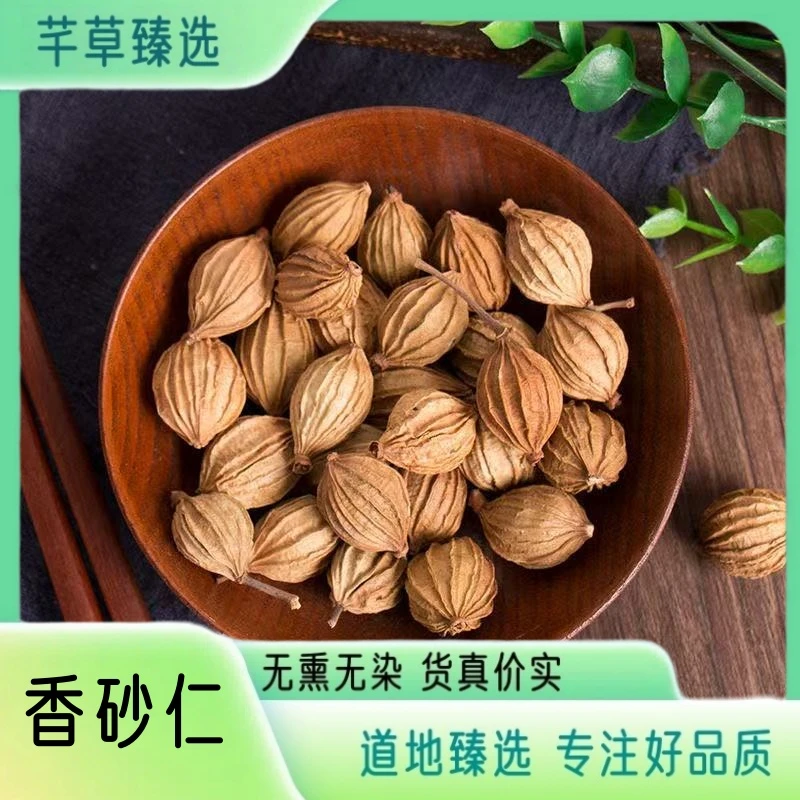 【砂仁】精选高品质香砂仁 毛砂仁 优质 无熏硫