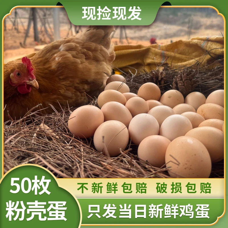 顺丰包邮【4.5-5斤】粉壳土鸡蛋50枚 正宗农家散养土鸡蛋 现捡现发
