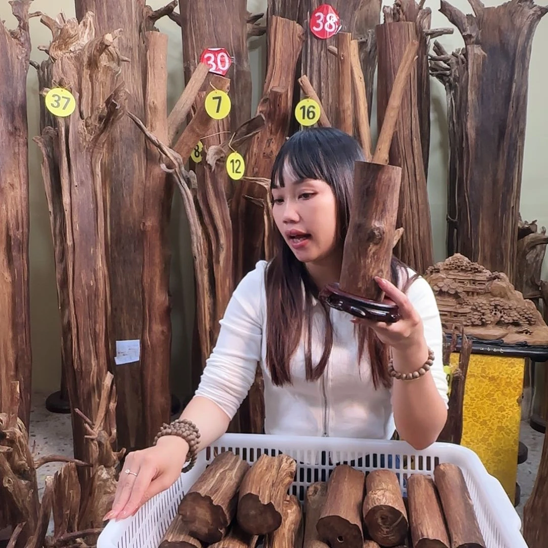 沉香沉香碎屑天然沉香原材料香料熏料