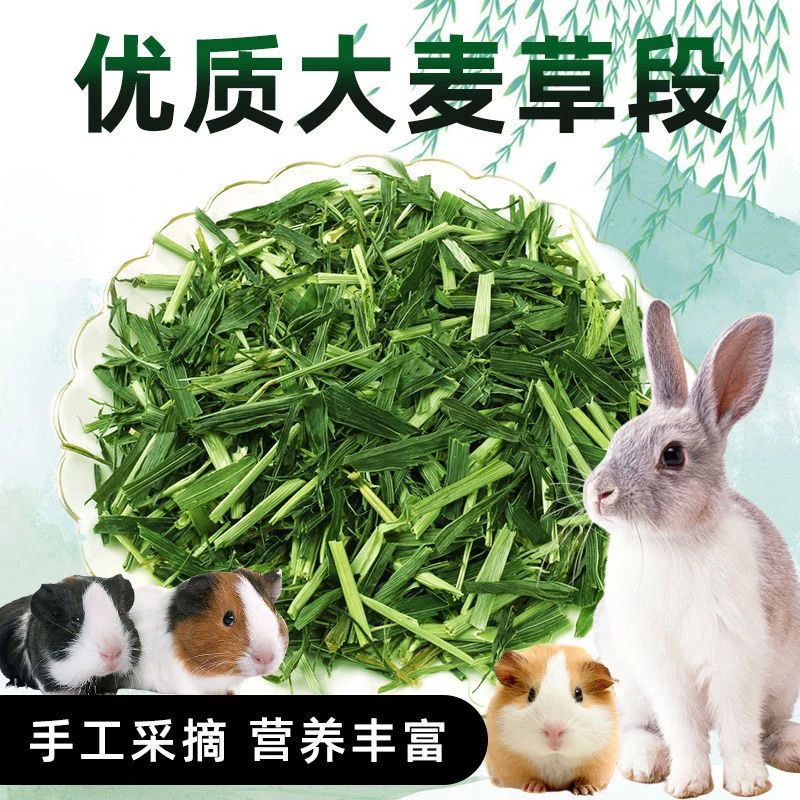 新烘干大麦草兔子龙猫豚鼠通用营养牧草