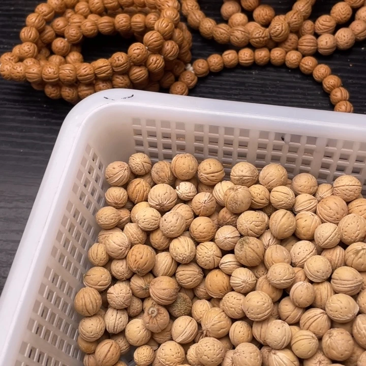 宏***艺散籽批发小桃核240