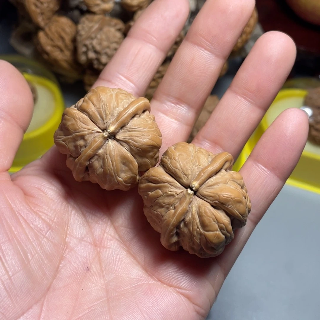 核桃手串/手链@***学精品蛤蟆连体