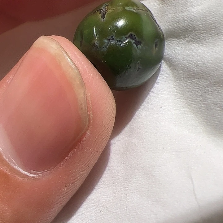 香榧木你的时候你