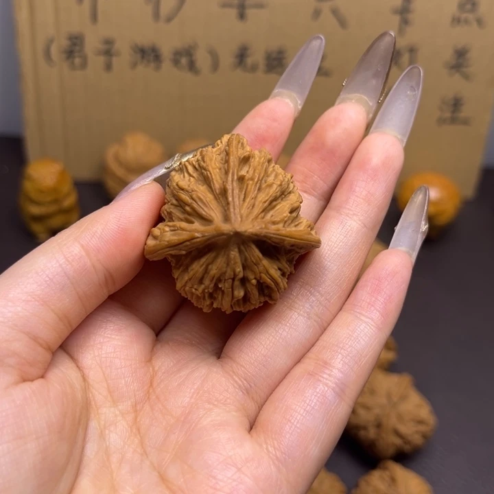 司***Y菩提籽类三棱单只异型有瑕