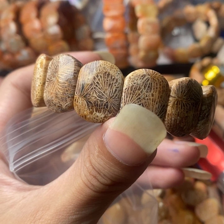 0***颈饰未镶嵌硅化珊瑚（珊瑚玉）
