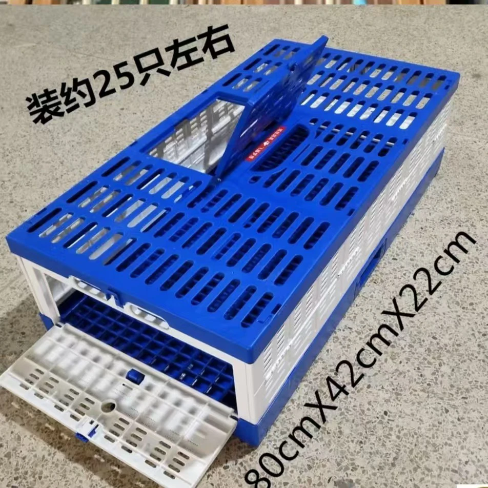 新型ABS塑料领航牌训放笼蓝色双门大号80*42*22cm约25羽