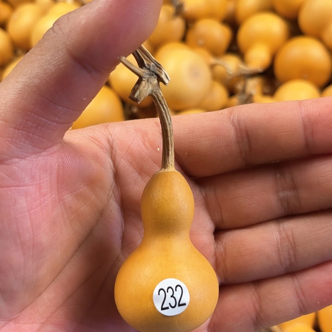 五葫芦葫芦葫芦葫芦232