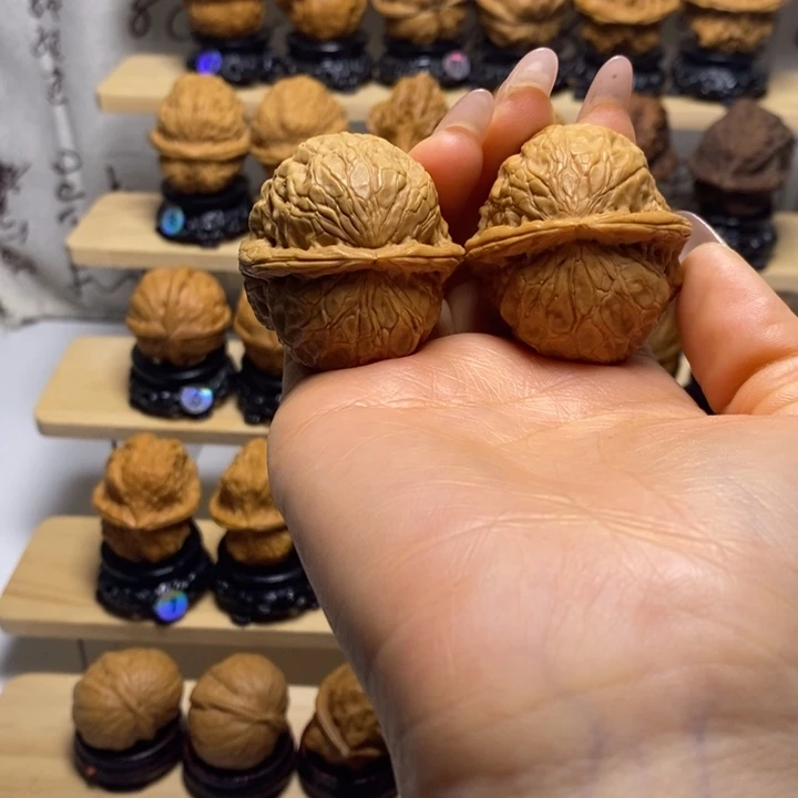 文玩核桃把件金龟玉甲y9