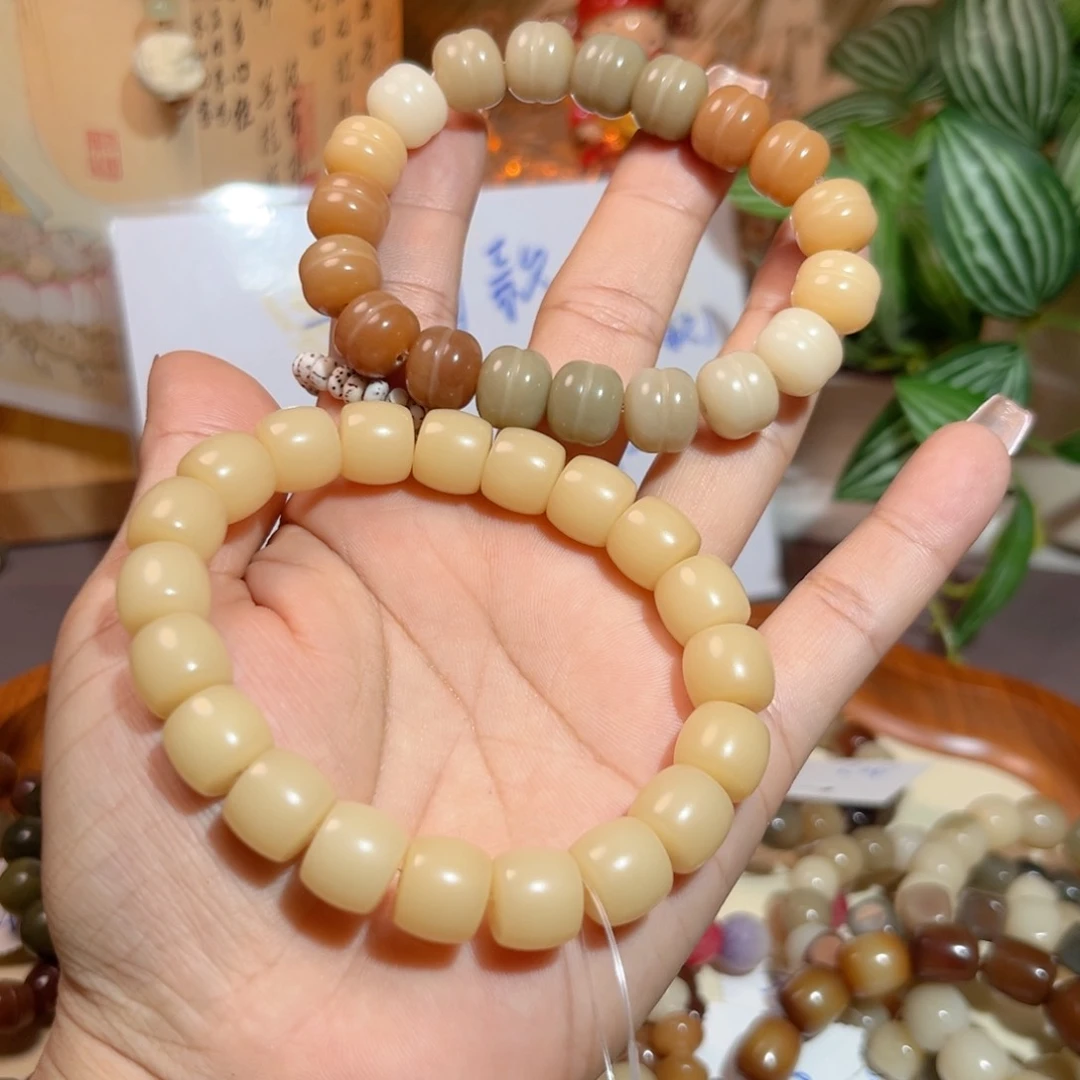 菩提根/象牙果手串