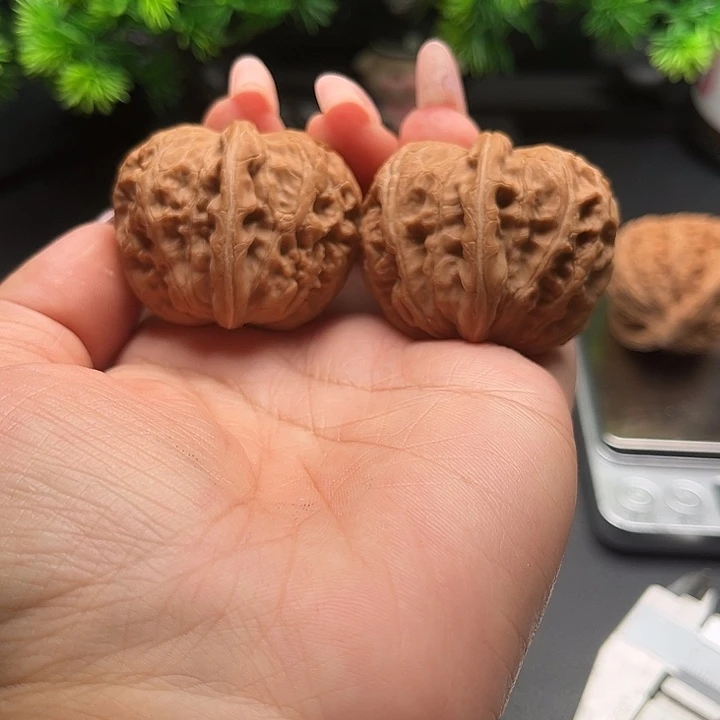 核桃43元宝全品核桃