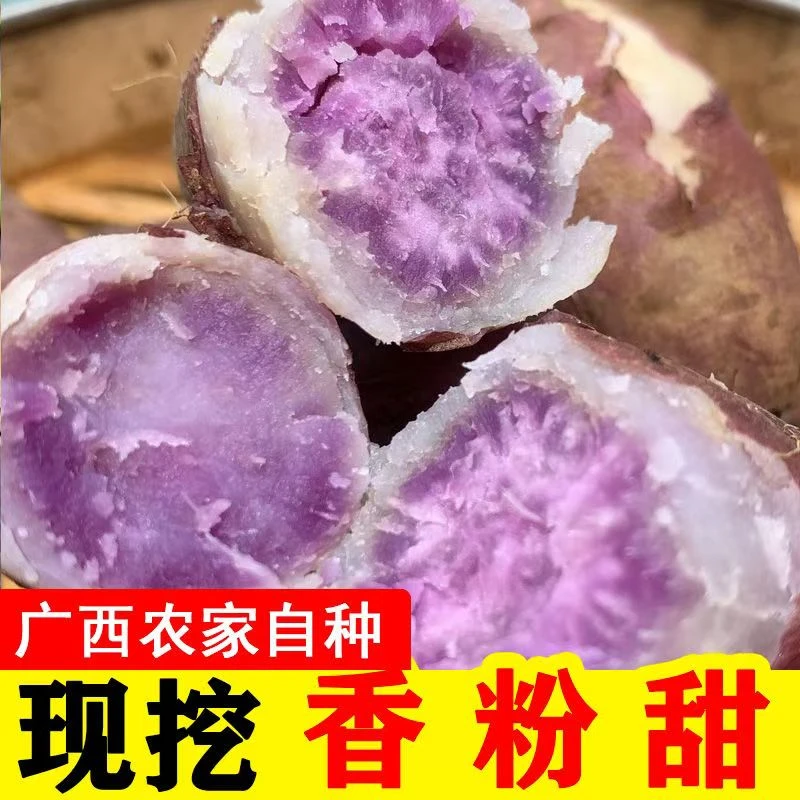 广西冰激凌红薯现挖紫心香甜地瓜正宗番薯一点红新鲜沙地花心红薯