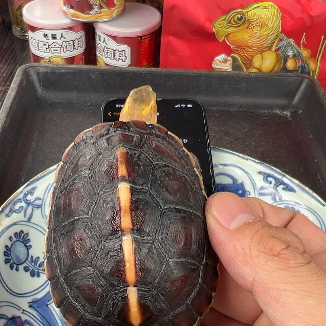 母L*r安安安安安安安