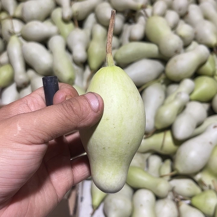 非洲紫檀（红花梨）天****蛙