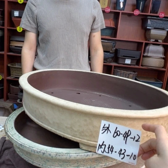 亨***哈紫砂花盆中放有两条