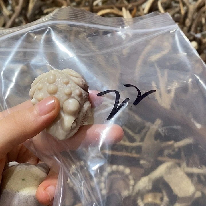 井***然非金属鹿角鹿角鹿角