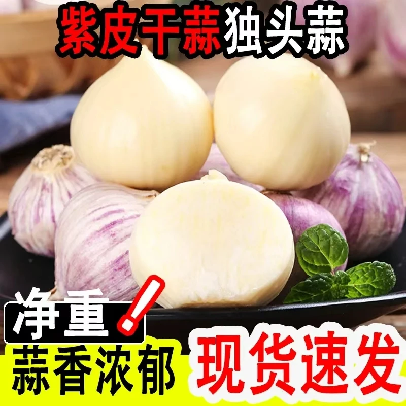 正宗紫皮独头蒜2025年晒干独头蒜农家自种(直播间专用连接勿拍)