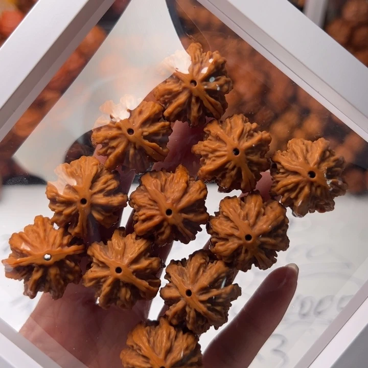 文玩核桃手串08天花板手持