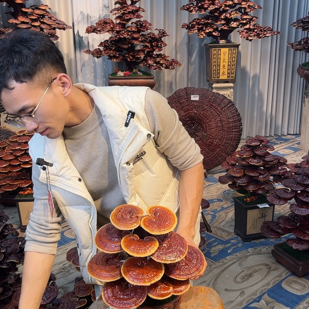 无花朵888888888888