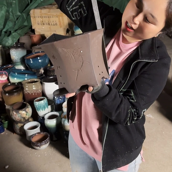 瑕疵一个盆子。